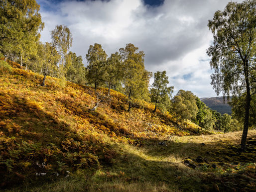 World’s First Rewilding Centre Opens