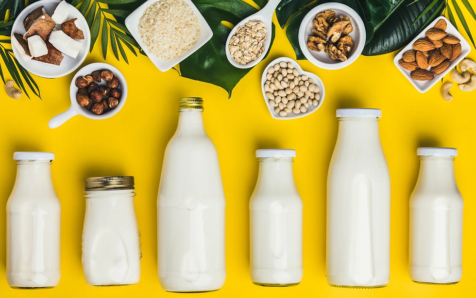 Selection of different vegan milk options
