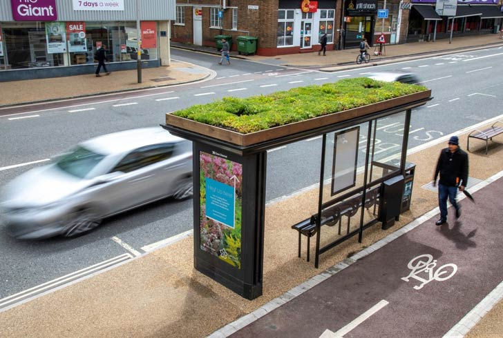 A green roof on a bus stop in the UK