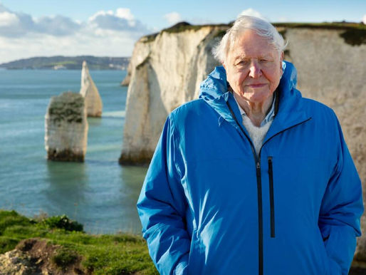 Sir David Attenborough standing on a white chalk cliff on England's south coast
