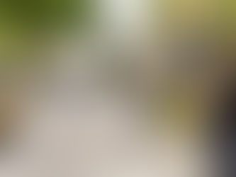 Pretty street in Vienna that was once just parking spaces, now a pedestrian-friendly green oasis