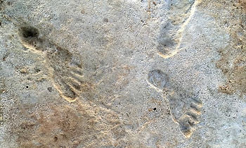 Ancient human footprints at White Sands national park in New Mexico