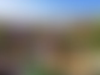 New Study: Greener Cities Have Mental Health Benefits