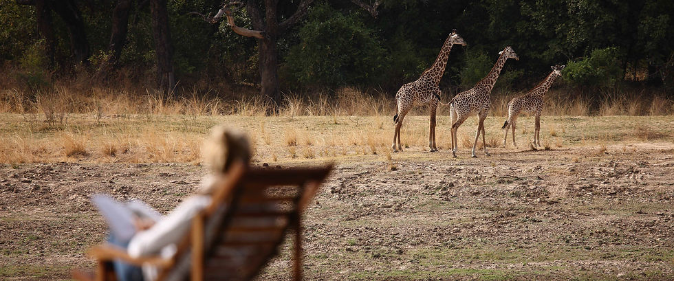 Luxury Africa Safaris