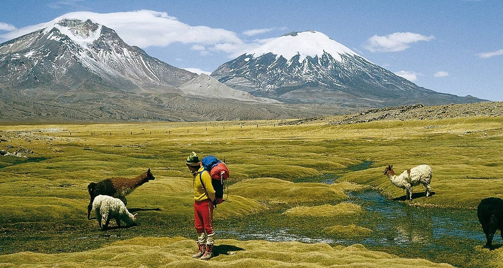 Chilean Antiplano Plateau