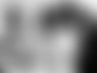 Roger Taylor, Freddie Mercury, Brian May and John Deacon