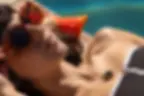 woman sunbathing, wearing a necklace-style tracker that provides skincare guidance