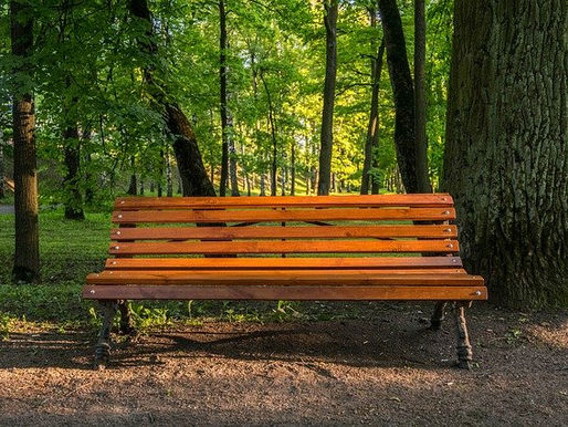 Trees are Good for Human Health in Unexpected Way