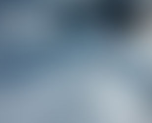 L’Experience Magnifique: Action Award Winner