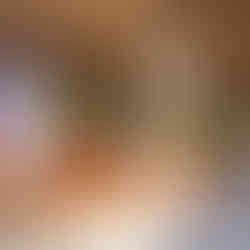 Panelled room in Palazzo Dario