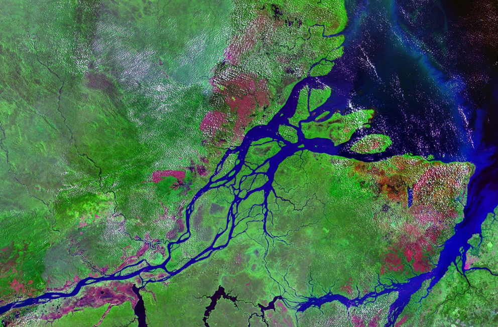 Aerial view of Amazon delta
