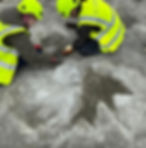 Megalosaurus footprint found in Oxfordshire