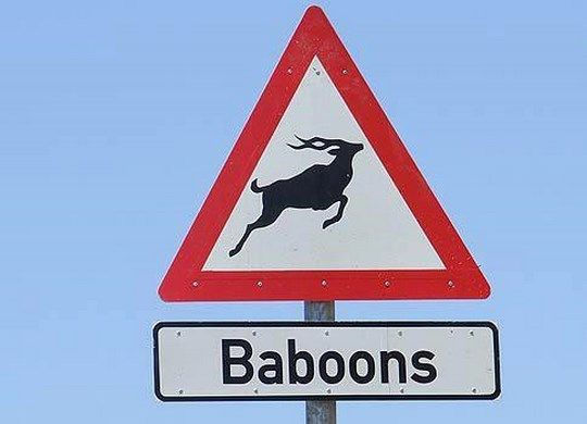 Sign warning of baboons
