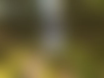 Flying Car Deliveries Start This Year