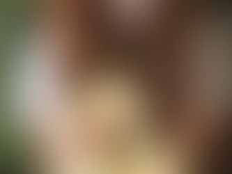 The Many Health Benefits of Avocados