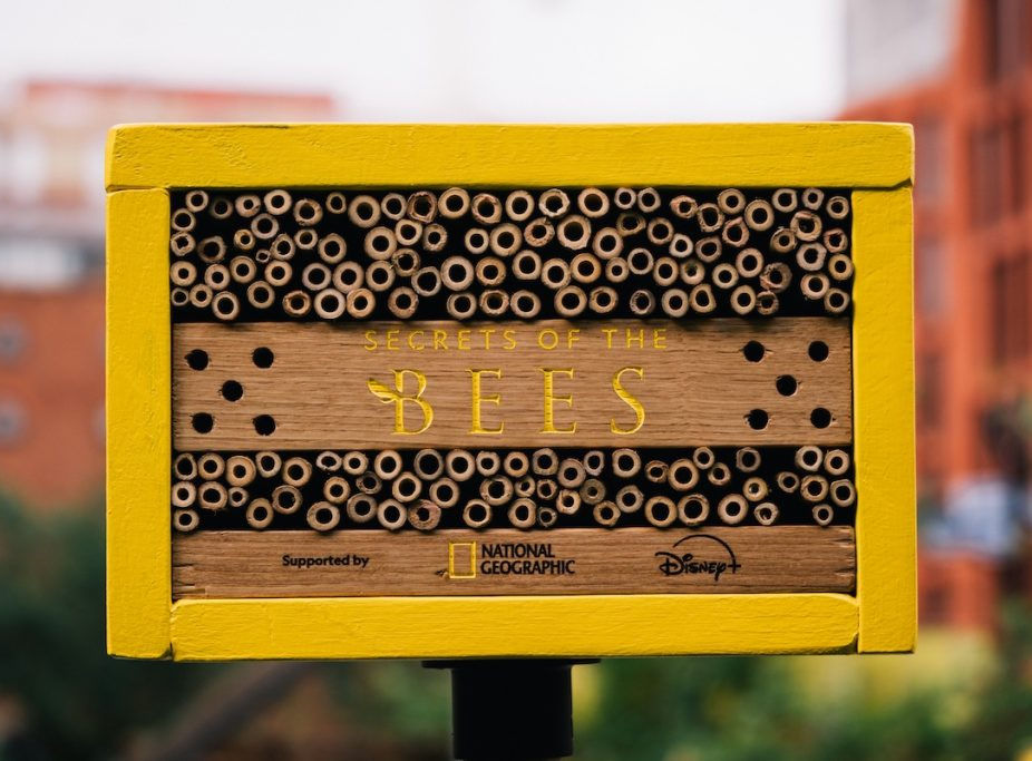 a rectangular mini bee hotel made from cedar, and with a yellow frame