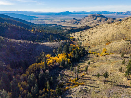 view of a stretch of land from the Great Basin through the Sierra Nevada with sagebrush scrublands and juniper and pine forests.