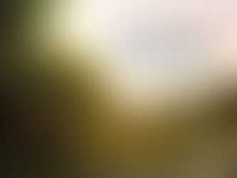 The Remarkable Trail Blazing Story of The Knepp Estate