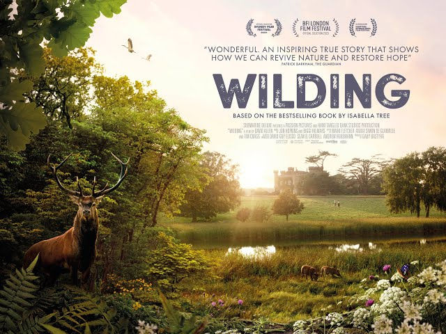 Poster for the new movie: Wilding