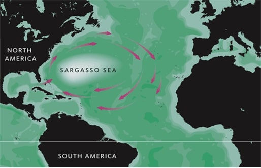 Map showing location of Sargasso Sea