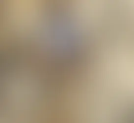 Man Finds Million Dollar Dinosaur on His Birthday