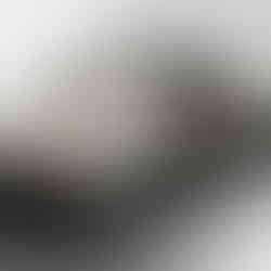 Audi Concept C rear view