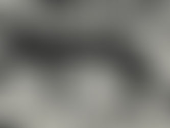 Javan tiger photographed in 1938