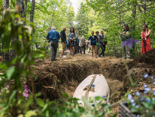 burial in woodland using a mushroom casket
