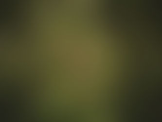 Inspiring Quotes About Trees