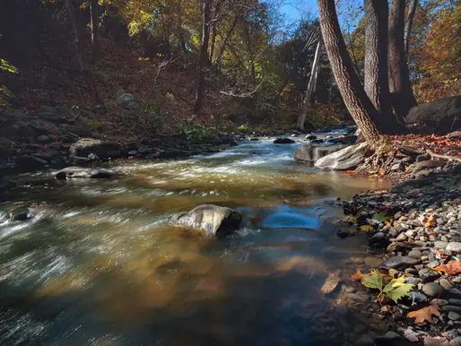 Quassaick Creek flows freely after the removal of the Strooks Felt Dam, Newburgh, New York