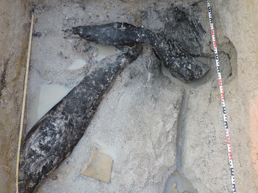 World's Oldest Wooden Structure Discovered