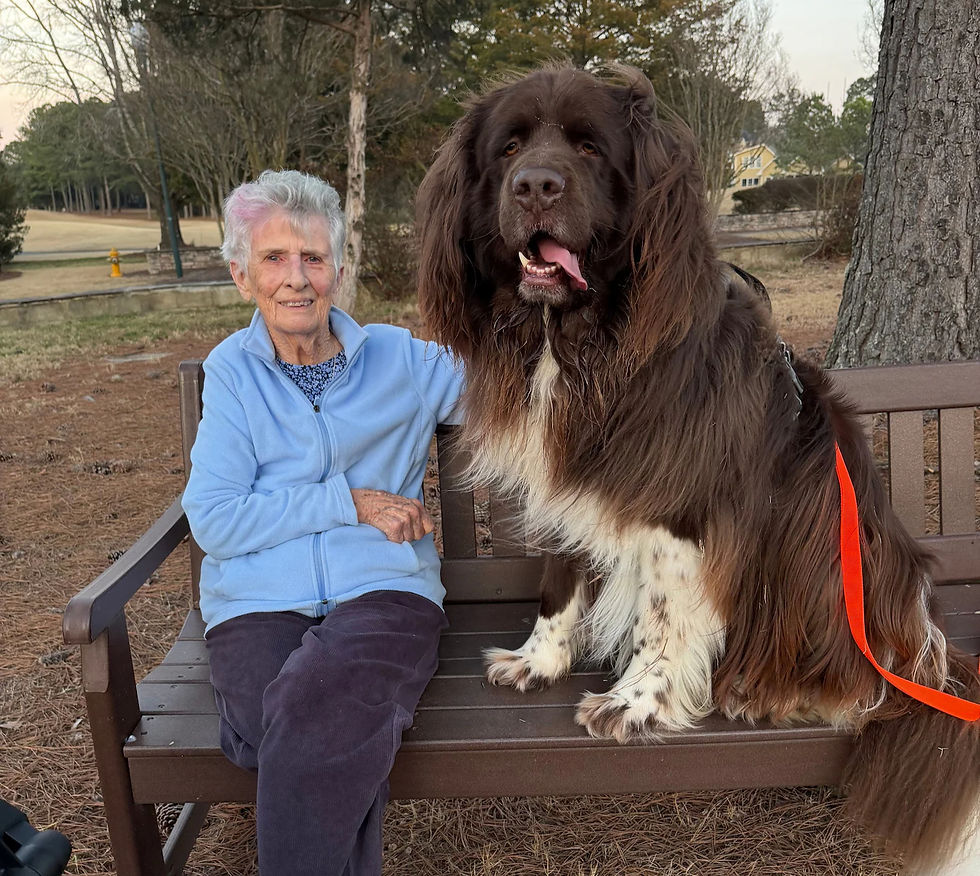 barbara collins sitting on a garden bench with her 150lb Newfoundland dog