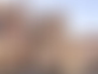 Facade of Palazzo Dario on the Grand Canal, Venice