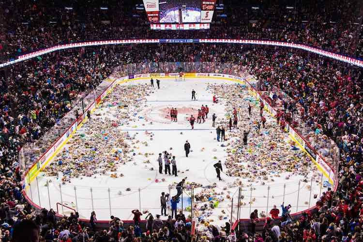 Teddy Bear Toss covering the ice rink
