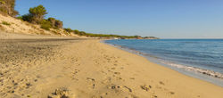 sandy-beach-puglia