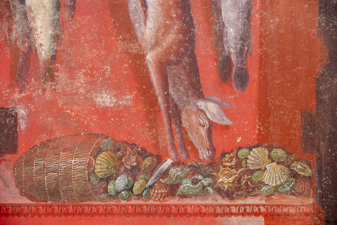 Frescoes of animals and shellfish on Pompeii wall