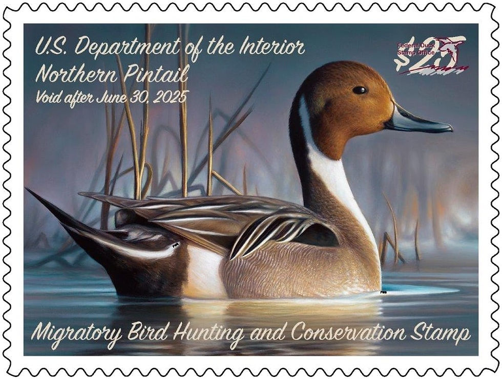 US 'Duck Stamp'
