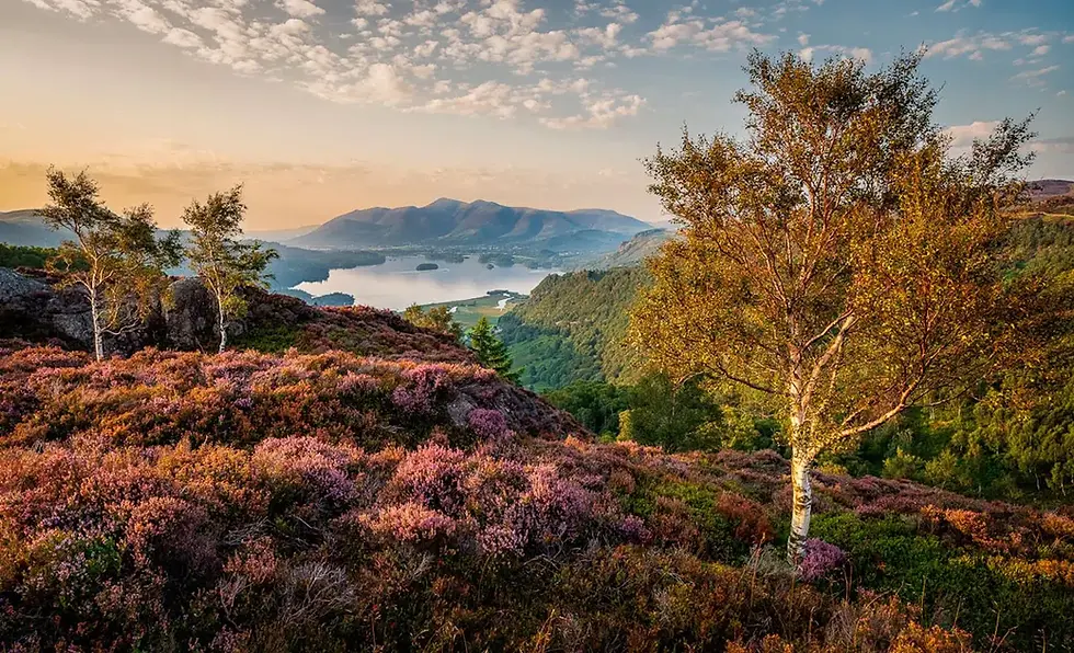 Grange Fell in Borrowdale, in the Lake District, in the early evening.