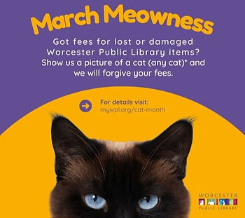 Worcester Public Library's Facebook page