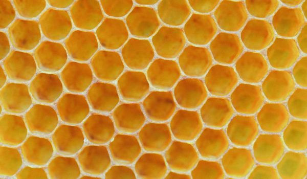 Close up of the shapes of a honeycomb