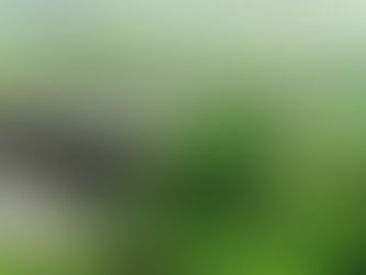 Flight-Free Holiday Platform