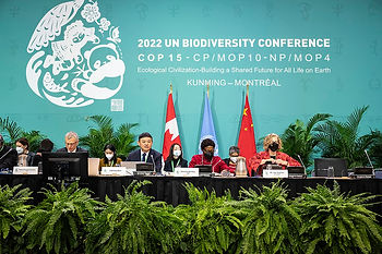 COP15 panel, Montreal 2022