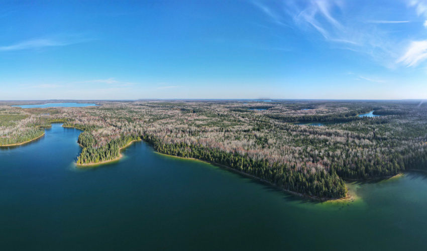 Boreal Wildlands, Canada