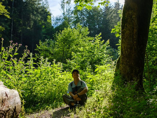 A woman sitting on he ground in a forest listening to the sounds around her