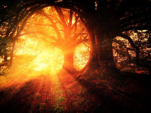 World is on Track to Meet 2030 Renewable Energy Target