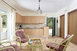 villa triton corfu modern kitchen