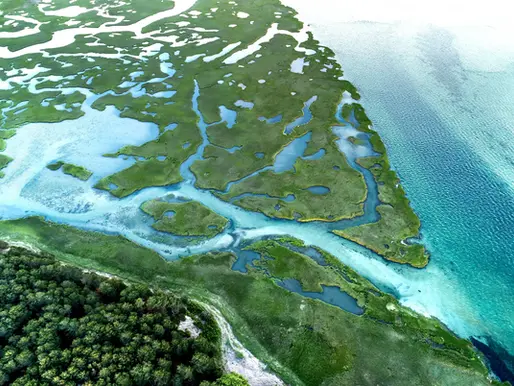 The First Open-Source Atlas of The World’s Ecosystems