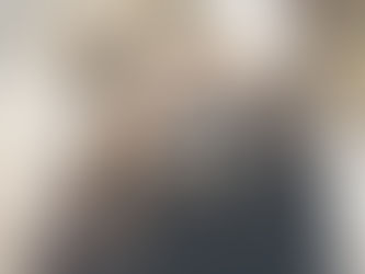 Facial Recognition for Bear Conservation