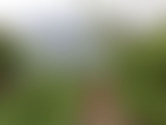 World First: Basic Income Pilot Tackles Climate Change