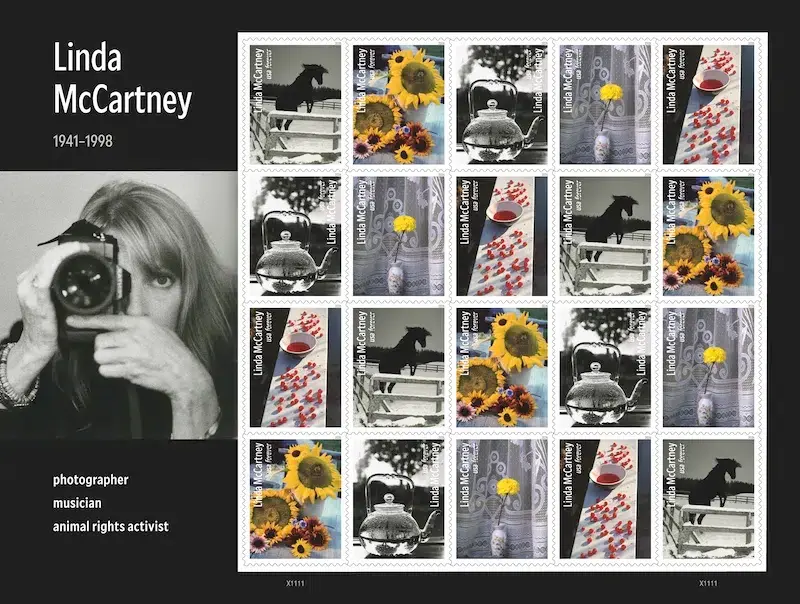 Linda McCartney with a camera pressed to her eye